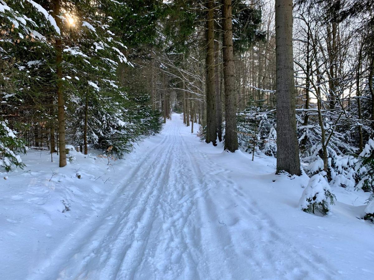 Apartament Haus Donnerberg Rehefeld Altenberg  Zewnętrze zdjęcie