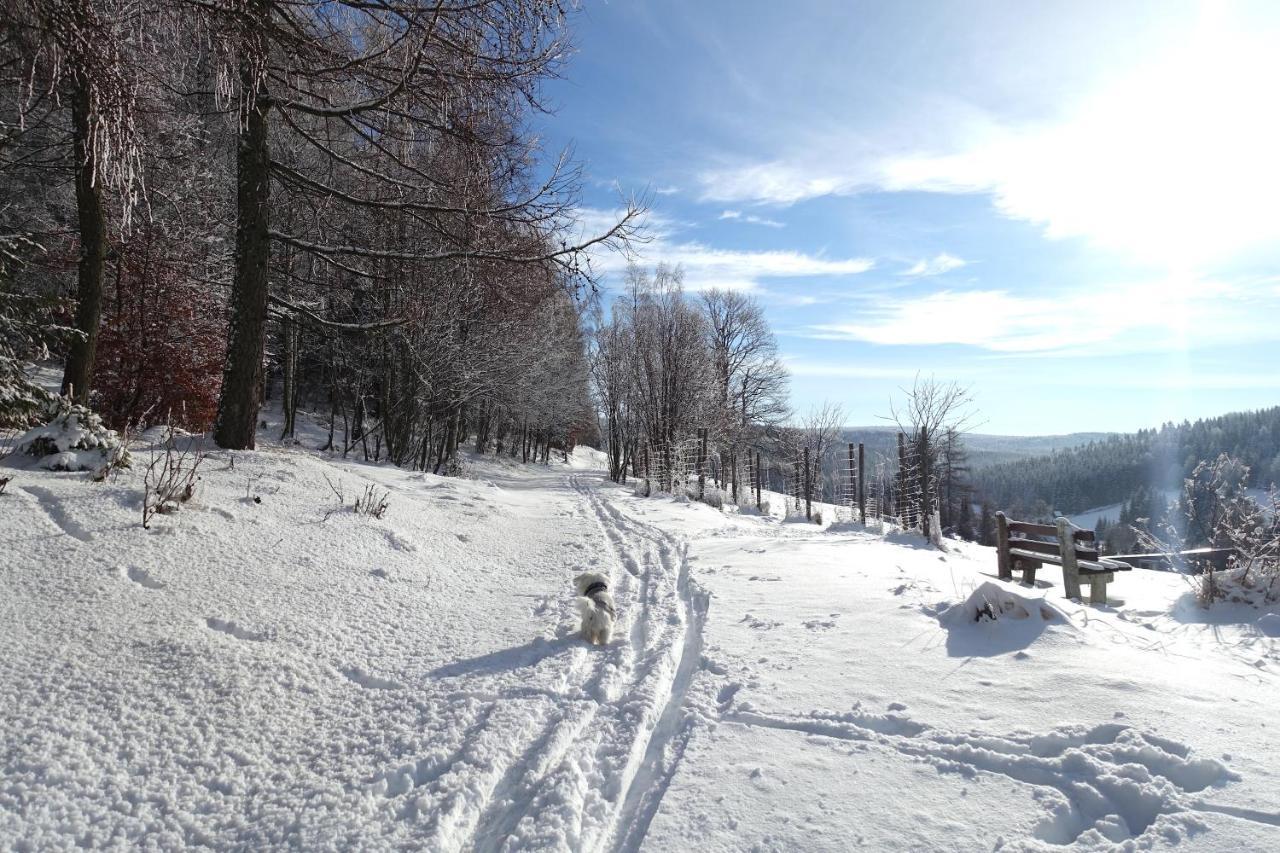Apartament Haus Donnerberg Rehefeld Altenberg  Zewnętrze zdjęcie