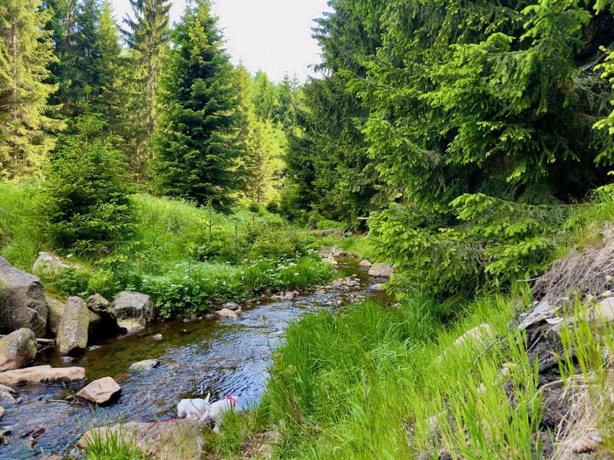 Apartament Haus Donnerberg Rehefeld Altenberg  Zewnętrze zdjęcie